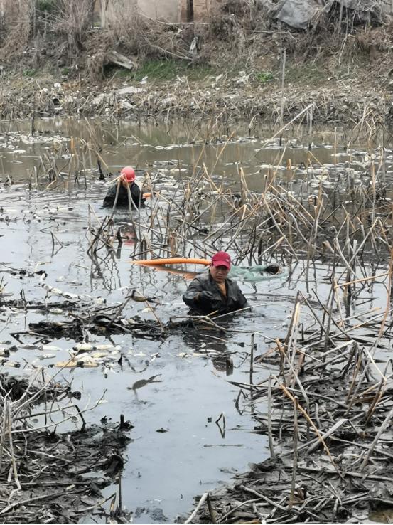 靠前指挥战疫线,向疫线集结