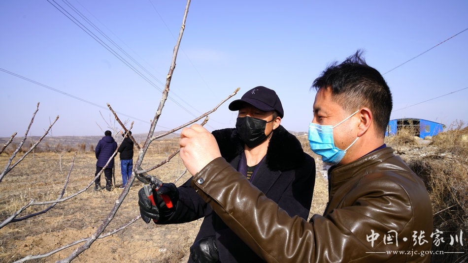 战疫不误农时原文,全力迎击疫情防控阻击战