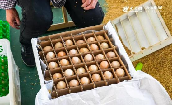 1元微力量捐款到武汉丨30枚爱心鲜鸡蛋26.8元，顺丰包邮到家