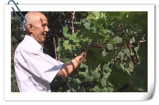 诗人刘章的影响,河北著名诗人刘章