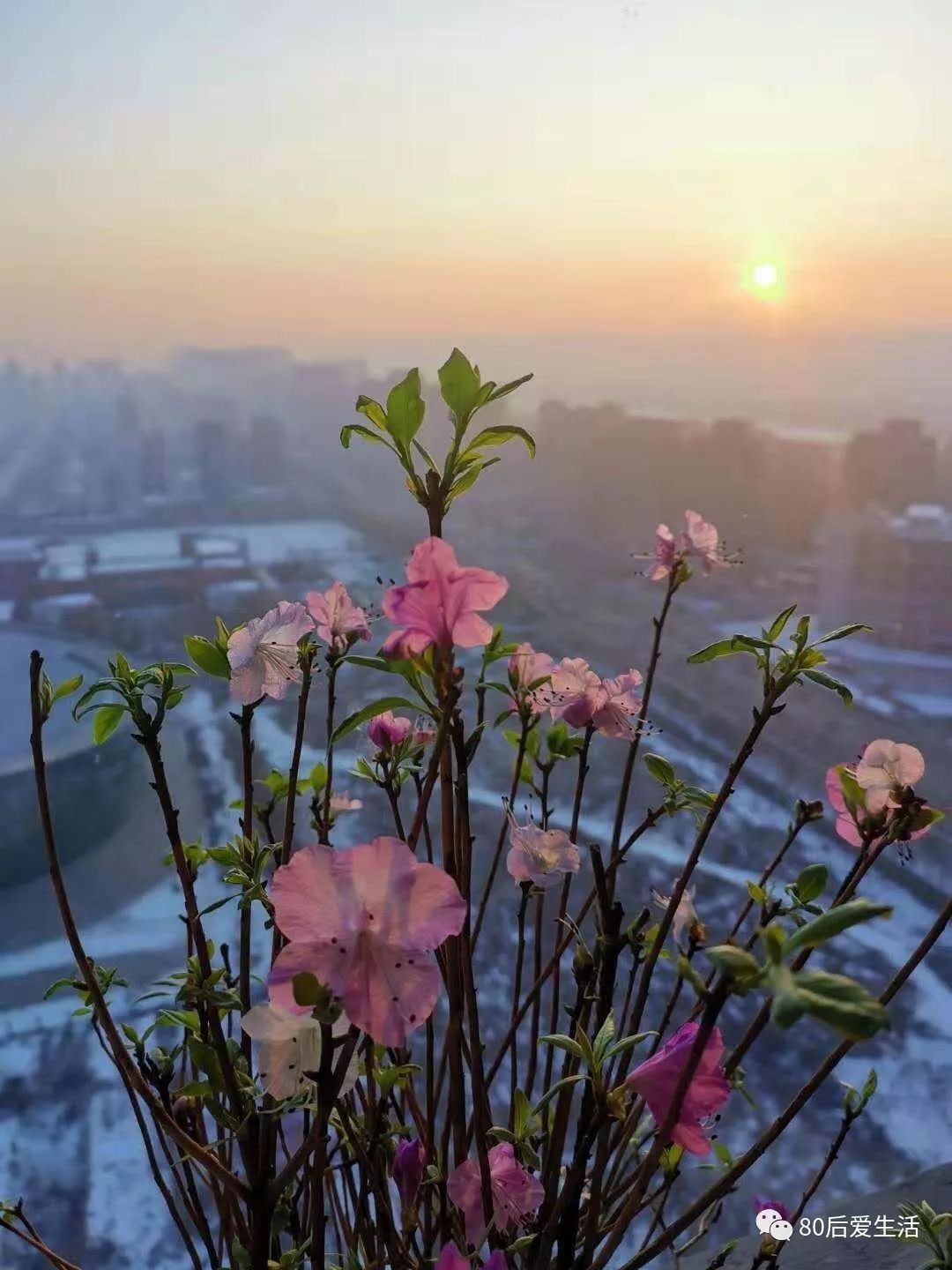 在义乌集中隔离点，武汉姑娘写下这样一段话……