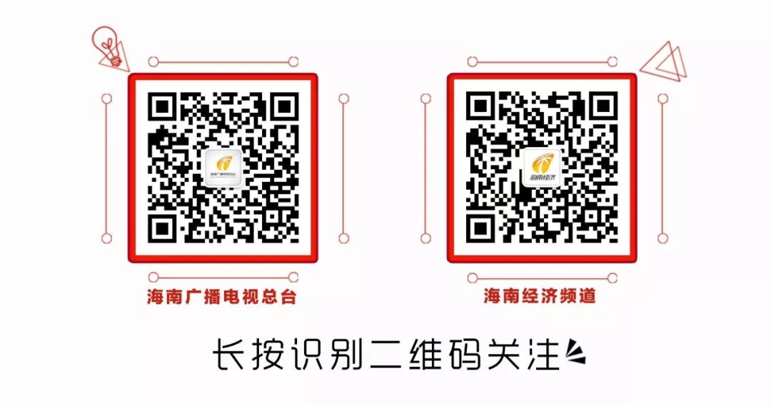 海南特别小的虫子跟小黑点一样大,海南好多黑色小虫子