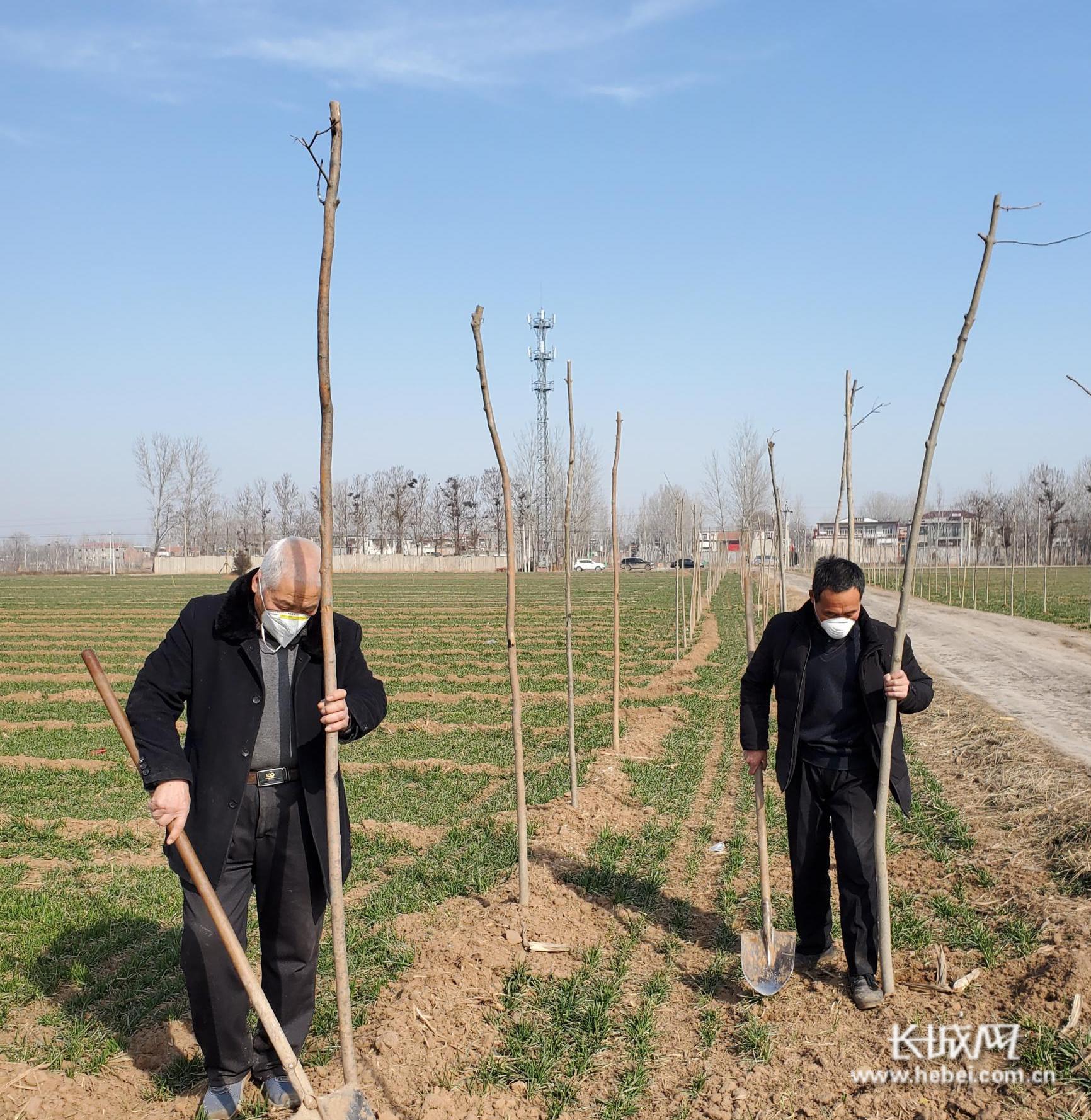 临漳车往营村支书刘峰,刘峰临漳