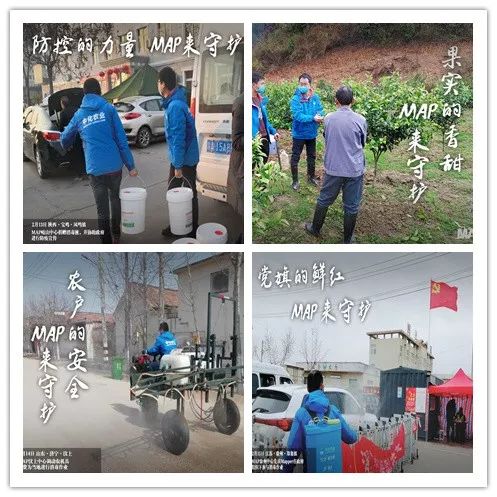 农业助力疫情攻坚战,农村党员打赢防疫阻击战