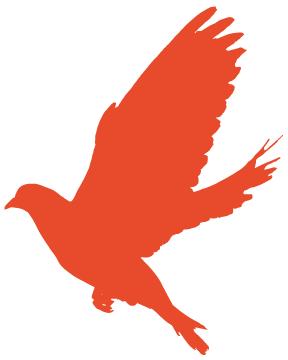 鐜嬫枌鍔卞織鍓嶈,鐜嬫枌鏉板嚭闈掑勾