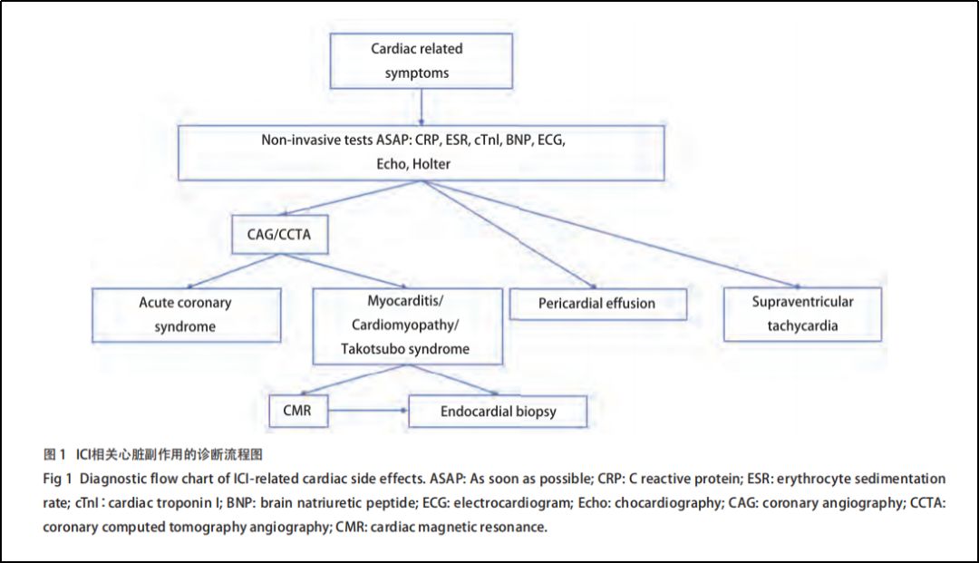 pd1单抗皮质醇,pd-1单抗治疗的前提