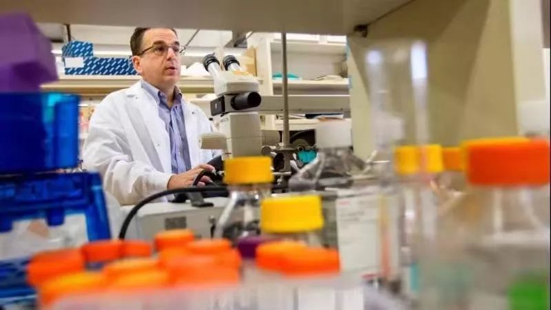 呼噜娃创作原声,呼噜娃完整视频