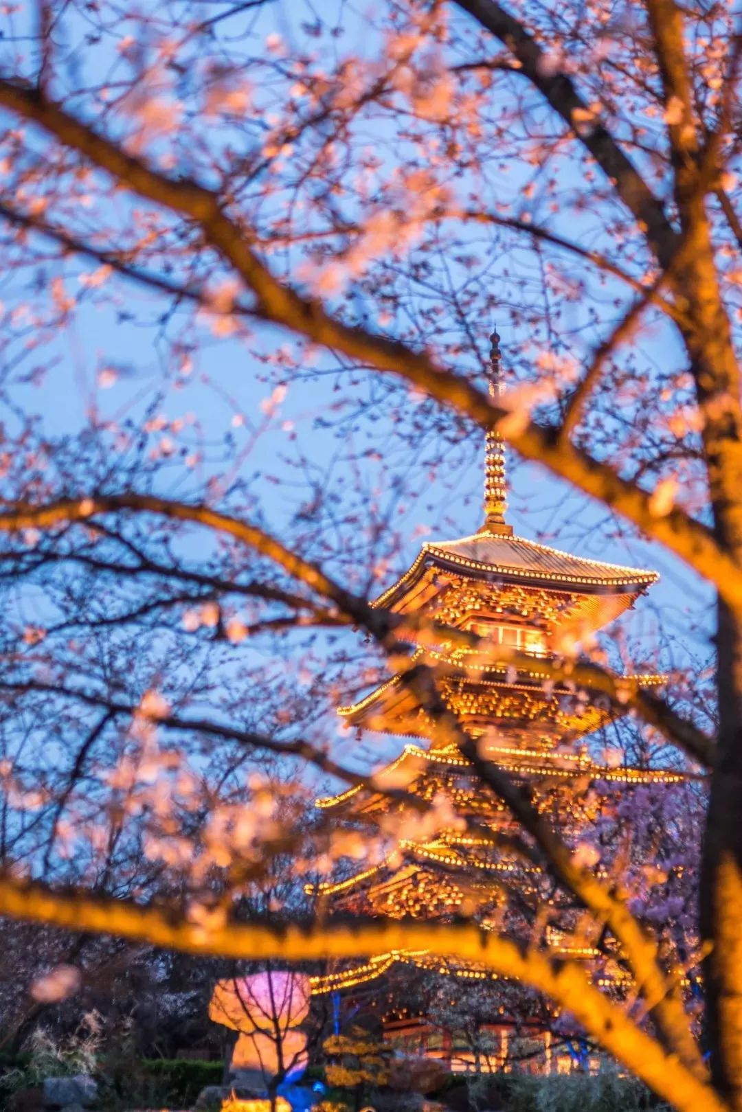 武汉终于解封！待到樱花再开时，相约这座英雄城市可好？