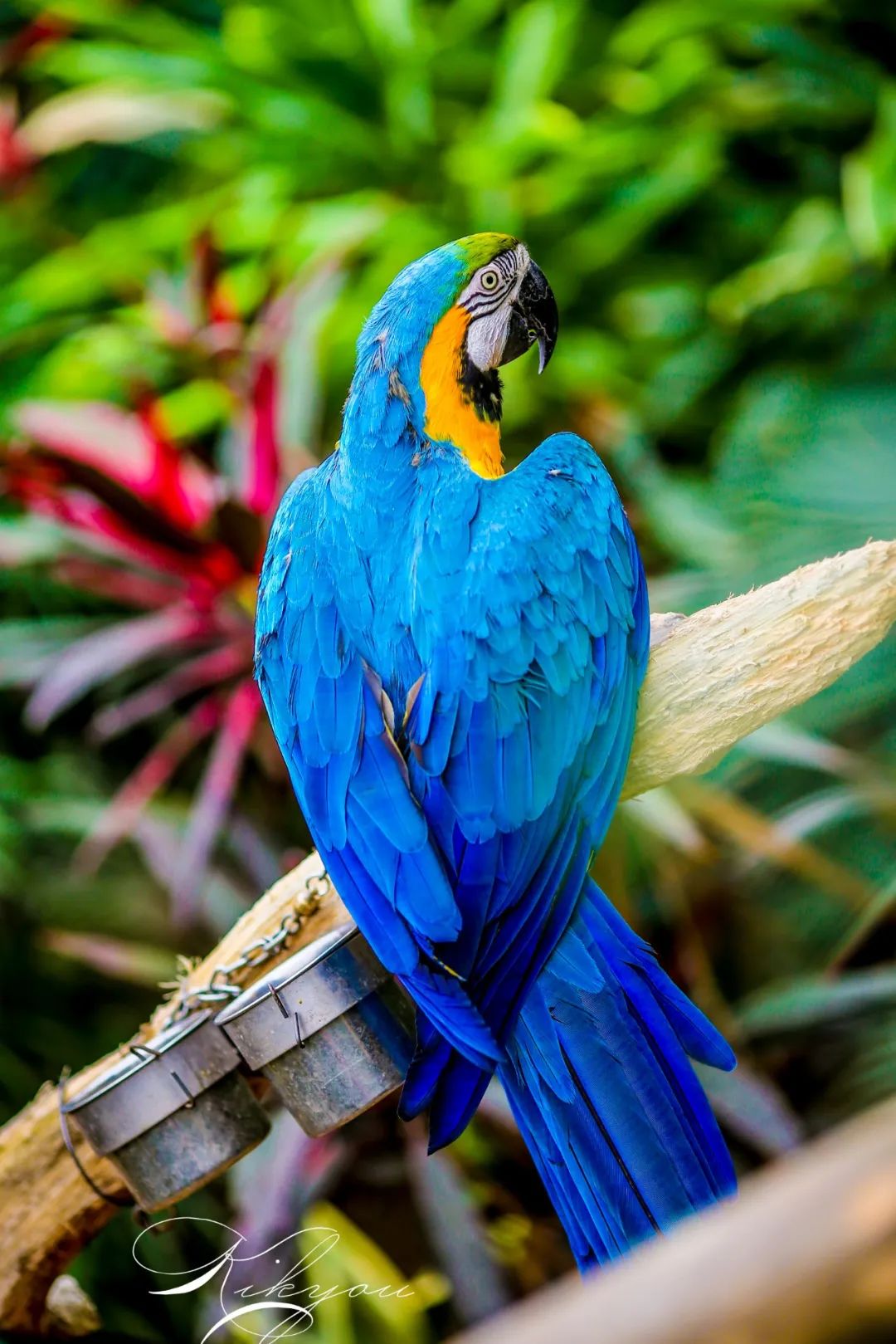 爱改装的车主眼中汉兰达咋样？除了油耗高、推背感肉外，不偷工减料、舒适度高能不能加分？