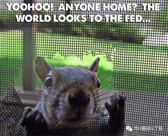 美联储鲍威尔威震天下,美联储鲍威尔救市