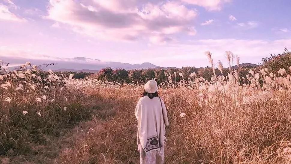 如果没有中国游客,世界该有多无聊