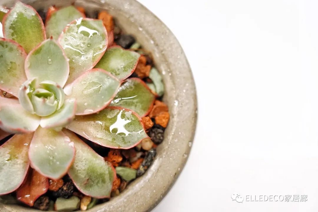 编辑们都下海了……