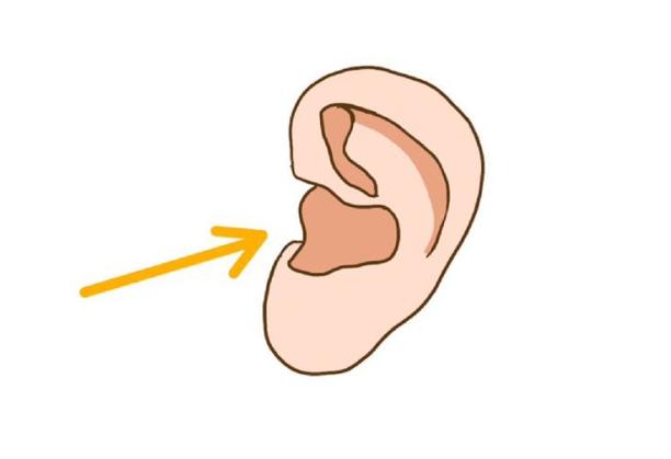 爱耳液,爱耳日滴耳液治中耳炎吗