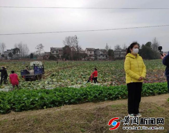 被“封”黄冈的记者,留守家乡直播告诉你:老区农民战“疫”多不易……