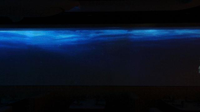 复工必吃店,最想吃的店提前打烊了搞笑版