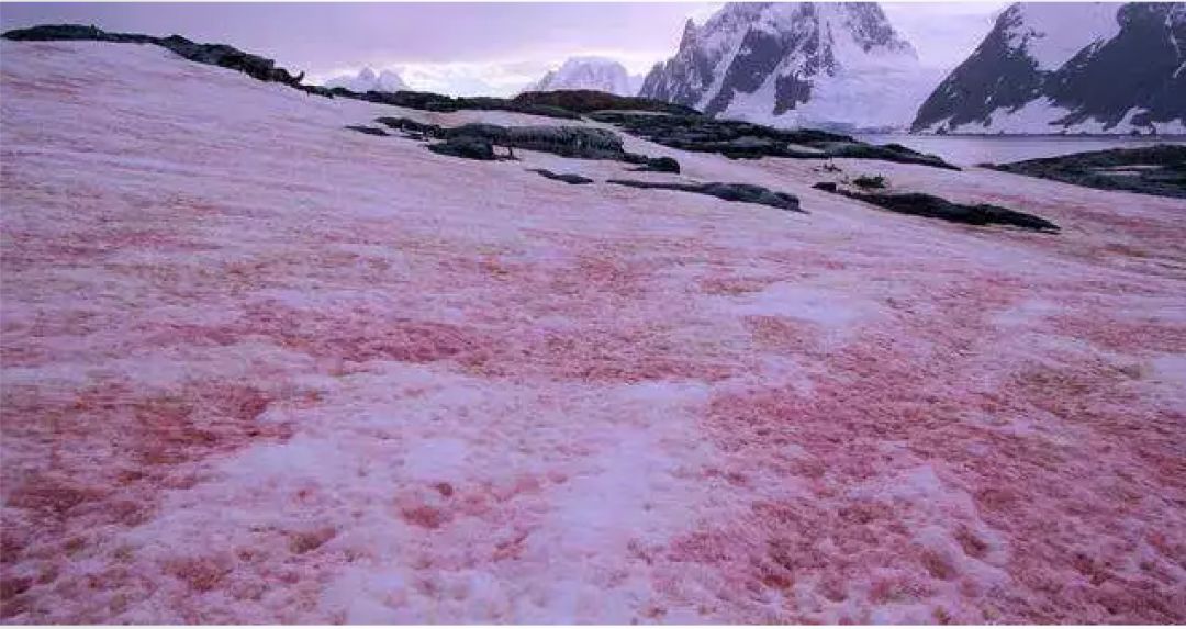 地质天文,地质地球物理学