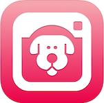 喵喵记账的app,苹果版喵喵记账