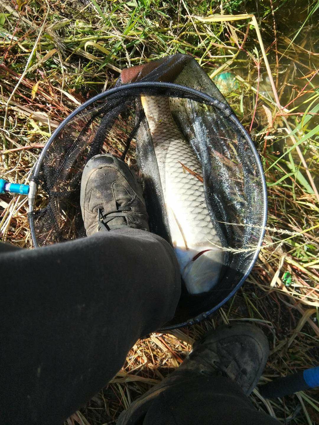 滩钓手工制作,手工自制过河钓