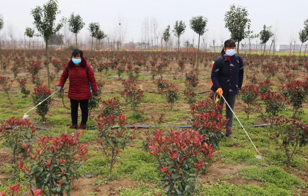 阜阳脱贫攻坚最新消息,脱贫攻坚阜阳在行动