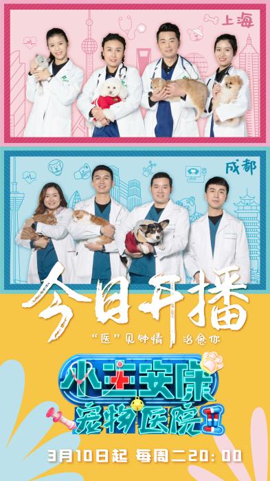 仓鼠骨折包扎的视频,关于仓鼠骨折的视频