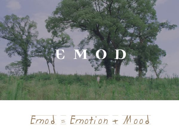 一瓶柑橘香,伴你入睡、助你好眠