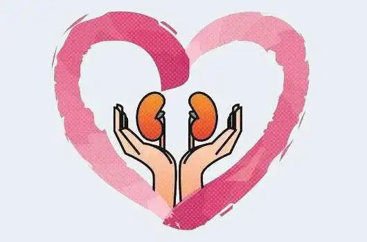 国际肾脏病日|来自协和肾内科的护“肾”锦囊