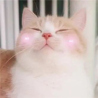 王一博同款遮瑕,2021春季限定彩妆