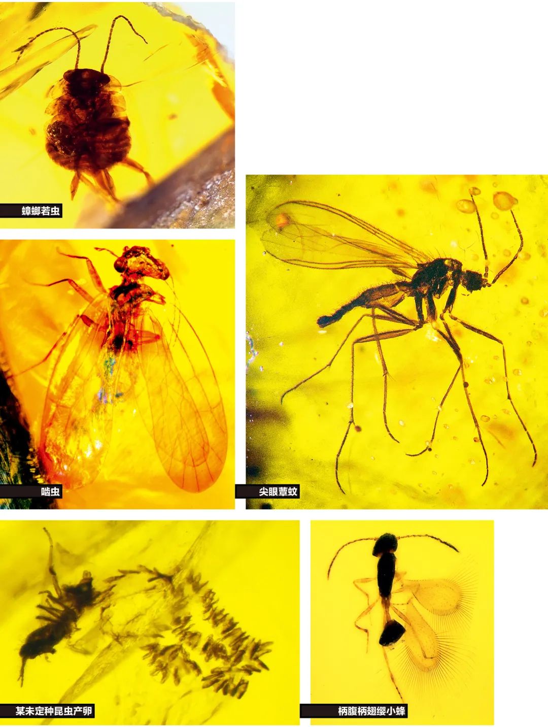 探秘废弃煤矿发现大量遗留物,60年代废弃的老煤矿