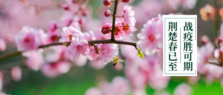 桂子山夜话讲解,桂子山夜话最新