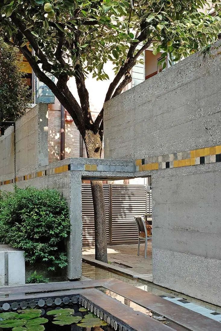 一起来植树的视频,今天适合植树吗