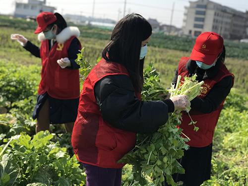 又是一年春来早家乡景色,又是一年春来早万物逢春在今朝