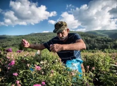 不整容不医美人真的会变吗,不整容不化妆变成美女