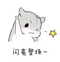 微信推文留言精选,微信推文留言正能量