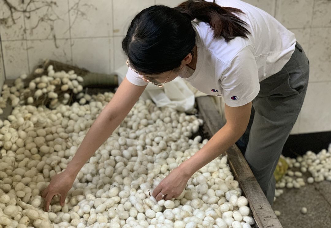 央视曝光蚕丝被长期盖,长期盖蚕丝被的危害图片