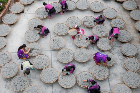 永顺毛坝云诗莓茶,永顺县毛坝乡古莓茶之乡