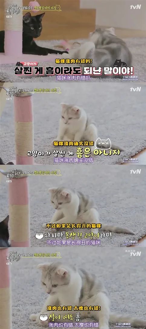 你喜欢的是他的容颜还是灵魂,你是爱她的皮囊还是灵魂