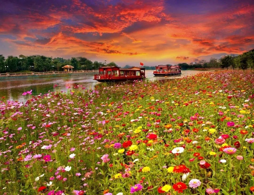 佛山景点啥时开放,佛山景区最新消息