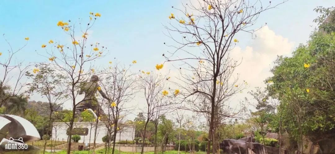 佛山景点啥时开放,佛山景区最新消息