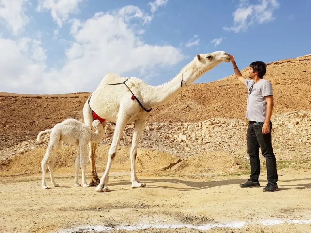 全国头部网红大盘点,世界各地旅游的网红