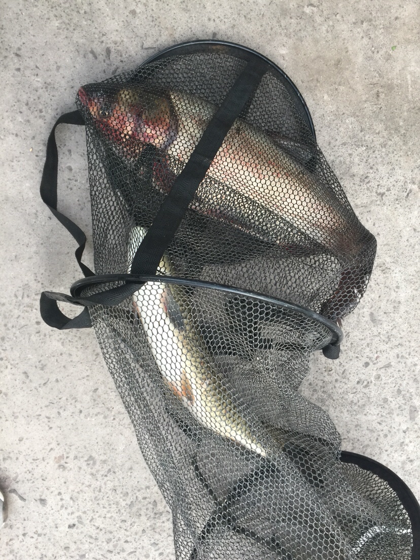 身着战袍,穿上节日盛装为祖国庆生