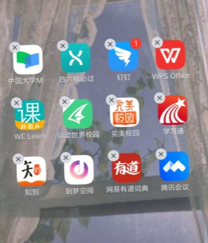 路边的小狗名字,看见路边的小狗想叫谁的名字