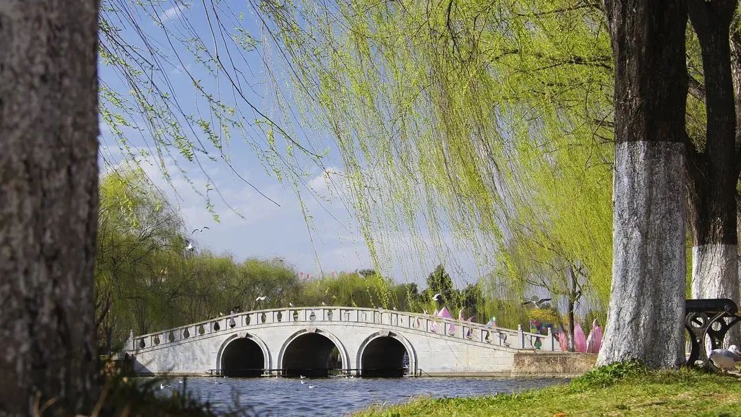 春字飞花令100首必背诗词,春字飞花令诗句大全