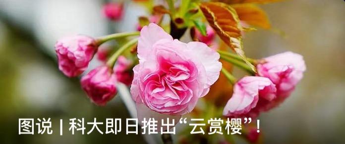 合肥娱乐场所什么时候能正常营业,合肥新型歌舞厅