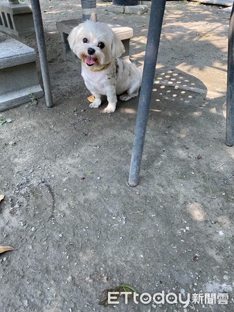 玛尔济斯沾到屎还灿笑　妈崩溃了