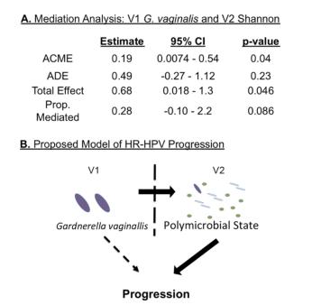 高危hpv感染最终患癌的机会有多大,hpv感染与癌症的研究方法