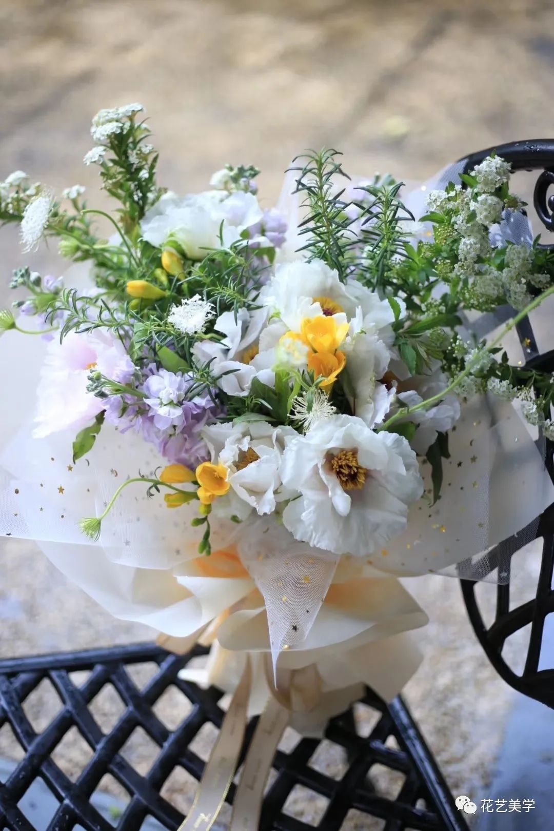 油牡丹有哪些颜色,春季油牡丹图片