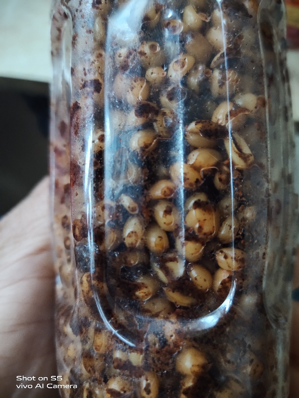 野钓中药酒米制作及配方,自制钓鱼酒米配方