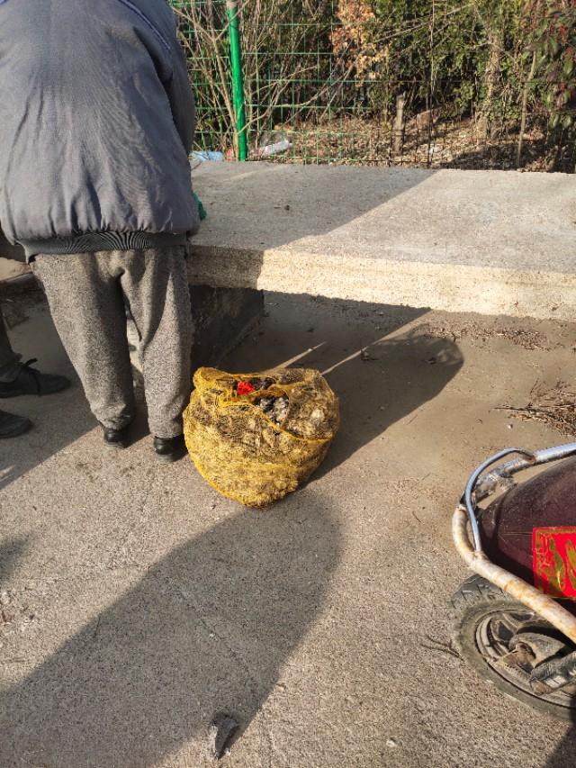 青岛海泊桥海鲜市场梭子蟹,青岛团岛海鲜市场螃蟹价格