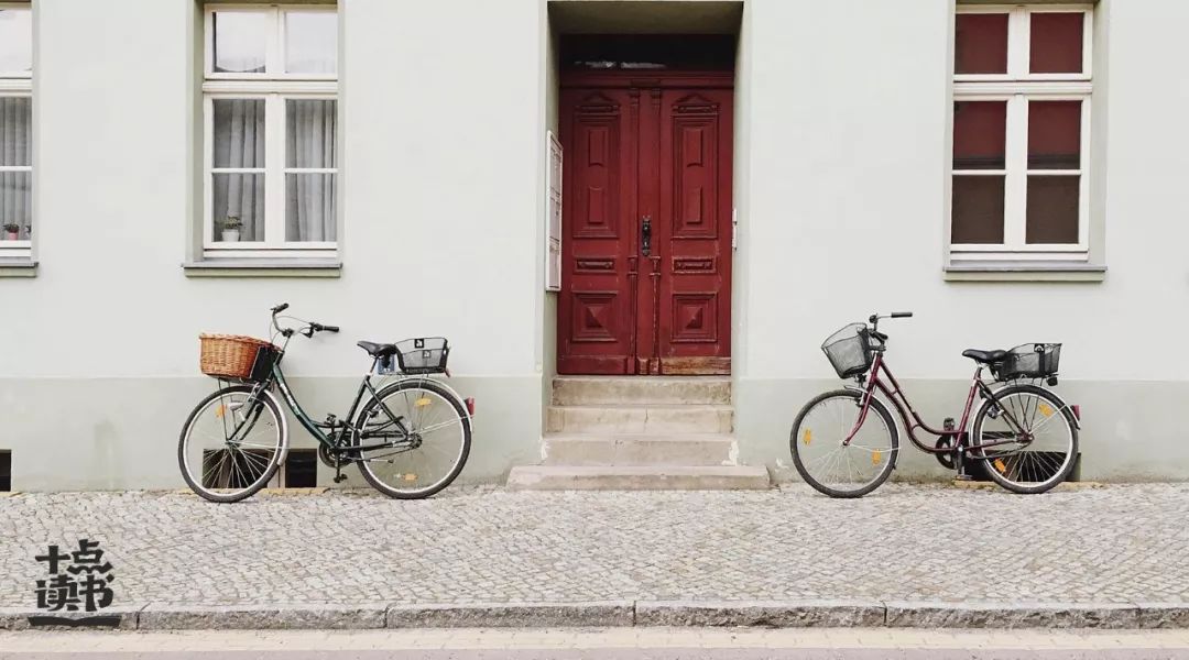 《巴别塔之犬》：什么才是婚姻最好的模样？