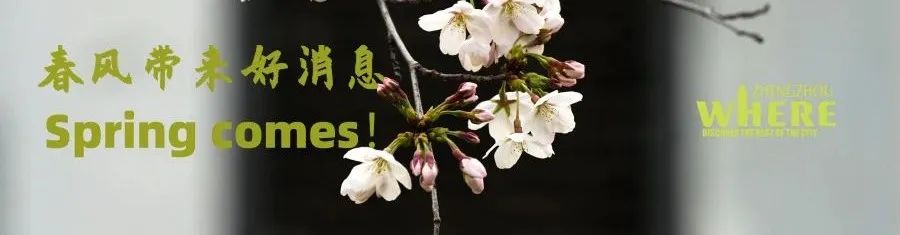 【双语听读】Henandialectclass河南话通关指南